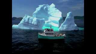 Panoramic footage of icebergs along the scenic shores of Newfoundland and Labrador [upl. by Anirbas]