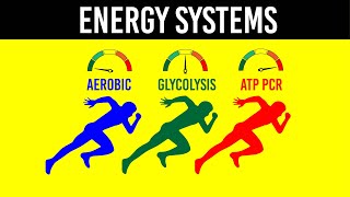 ENERGY SYSTEMS  Strength amp Conditioning Essentials [upl. by Niriam]