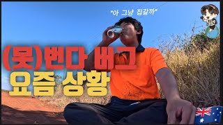 🇦🇺호주VLOG  돈못번다버그  현재 상황  워홀 포기  호주농장  현실적인 이야기와 현재 하고 있는일 [upl. by Ennobe115]