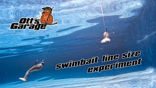 Ott’s Garage  Line Size Experiment With Swimbaits [upl. by Eico]