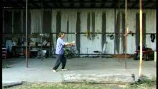 Tai Chi Erle Does it Volume 1 Montaigue [upl. by Bezanson248]