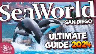 SeaWorld San Diego 2024 Guide  Tips Exhibits Rides Shows amp More [upl. by Gridley]