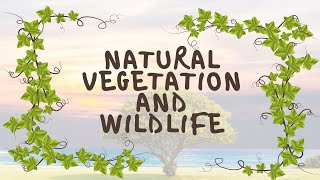 NATURAL VEGETATION AND WILDLIFE  CLASS 9  GEOGRAPHY  CHAPTER 5 [upl. by Combs]