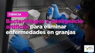 Bacteriófagos e inteligencia artificial para eliminar enfermedades en granjas [upl. by Sucam]