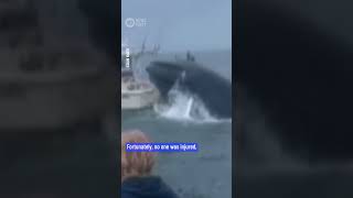 Breaching Whale Capsizes Fishing Boat  10 News First [upl. by Elleahcim228]