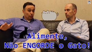 Archivaldo Reche Jr Complicações causadas pela Anorexia em Felinos [upl. by Sophie995]