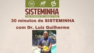 30 minutos de Sisteminha com Dr Luiz Guilherme [upl. by Lexy90]