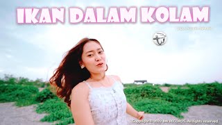 Vita Alvia  Ikan Dalam Kolam  Remix Official MV [upl. by Horten]