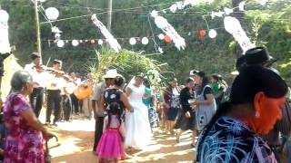 boda en Huautla d Jimenez Oaxaca [upl. by Dorelle]