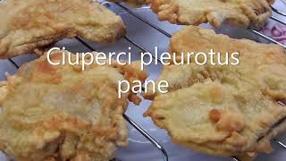 SNITELE DE CIUPERCI pleurotus reteta cu aluat pane [upl. by Nortna303]