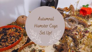 Autumnal Hamster Cage Set Up  OUR FIRST YT VIDEO [upl. by Poliard776]