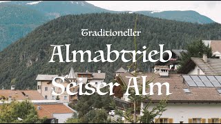 Almabtrieb Seiser Alm  Kastelruth [upl. by Peterson]