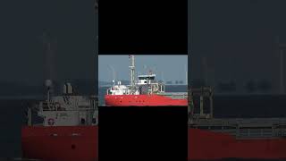 GENERAL CARGO quotLADY ARIANEquot shorts shipspotting ship [upl. by Broder483]