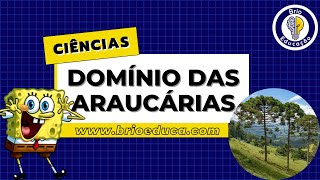 Ciências Domínio morfoclimático das araucárias  Brio Educação [upl. by Yenruoj443]