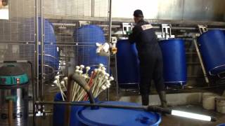 GISS R2D733EPMX Water Stofzuiger voor Cleaning Twente [upl. by Gievlos]