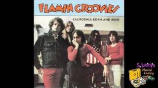 Flamin Groovies quotTiger Manquot [upl. by Ellehsyt984]