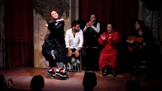 Flamenco show in Barcelona  Palau Dalmases [upl. by Arotal]