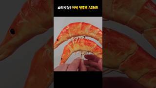 소리맛집 이색 탕후루 점토부수기 ASMR 탕후루 탕후루asmr 점토부수기 [upl. by Sehcaep]