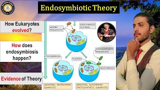 Endosymbiotic Theory   How to Evolve Prokaryote to Eukaryote Cell  Hindi [upl. by Corwin]