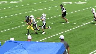 Denison Killerbees 4th grade vs Prosper black 2024 [upl. by Anivlis172]