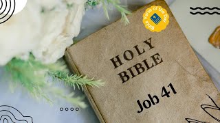 Job 41  Bible Reading  Bible Verse Of The Day  Word of God Audio Bible [upl. by Onairot398]