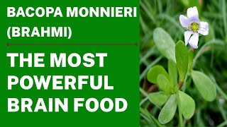 Benefits of bacopa monnieri [upl. by Lisetta]