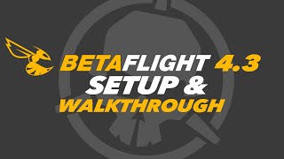 NEW Betaflight 43  Full Setup amp Walkthrough [upl. by Ier106]