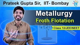 Metallurgy  Froth Flotation Class 12  IIT JEE Mains  NEET [upl. by Odlanar]