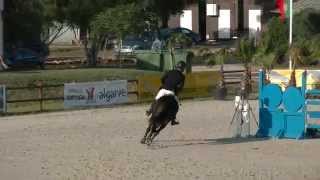 Calábria desempate GP 7 anos CSI VIlamoura Out 2014 [upl. by Yllom]