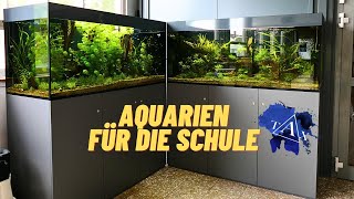 KRASSE AQUARIEN für die SCHULE I TAX [upl. by Acinahs]