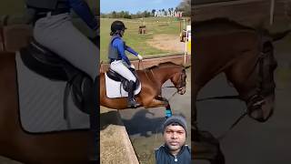 Horse riding madam gir gayi horse equestrian horseriding jumping failarmy shorts [upl. by Natascha]