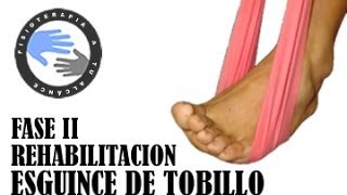 FISIOTERAPIA  Ejercicios para esguince de tobillo FASE I [upl. by Gwenn]