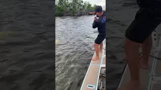 My Tarpon Catch in Cayo Costa Florida [upl. by Pachton]