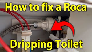 Roca Toilet Dripping  How to Fix a Concealed Cistern [upl. by Dadinirt]