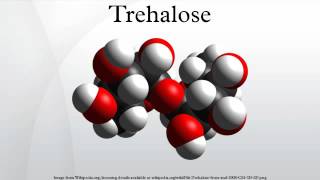 Trehalose [upl. by Adnofal]