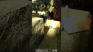 Animals with Realistic RTX pack 30 for Minecraft Bedrock [upl. by Yam]