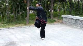 Taiji Tanglangquan Beng Bu Master Zhou Zhendong [upl. by Clabo803]