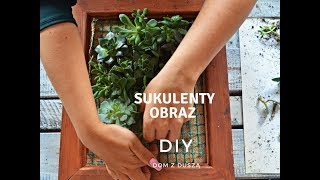 DIY Sukulenty  żywy obraz  Dom z duszą [upl. by Lorenzana]