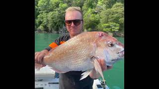 Kenepuru amp Pelorus sounds 8day lads trip amp the JB snapper classic comp 2021 [upl. by Eiramanitsirhc]