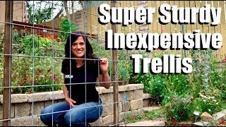 Making a Super Sturdy Easy Inexpensive Trellis to Maximize Garden Space amp Planting Cucumbers [upl. by Bilac]