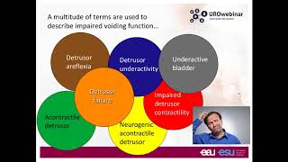 Urowebinar Underactive bladder  The story so far [upl. by Yenal]