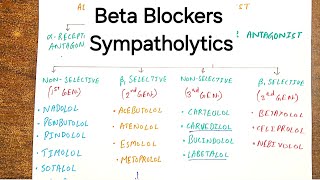 All About Beta Blockers  Antiadrenergic Drugs [upl. by Ayamahs]