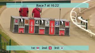 Monmore Greyhounds Races on 2nd July 2024 [upl. by Joris33]