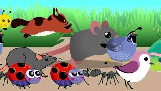 Rat and other animal  stampede animals video ‼️ [upl. by Saleme123]