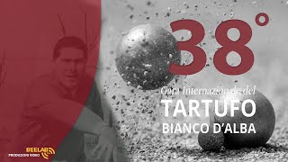 38 GARA INTERNAZIONALE TARTUFO BIANCO DALBA  BOCCE SPECIALITA VOLO [upl. by Ytsanyd]