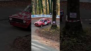 6° Lessinia Rally Historic 2024 SHOW amp CRASH  Prova Annullata [upl. by Midas]