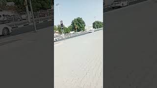 Sharjah nearby cricket stadium blogtrending shortsvideo shorts [upl. by Gainer266]