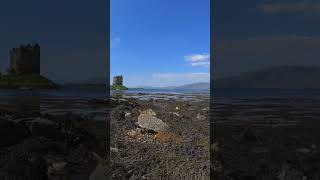 Travel Highlights  Castle Stalker scotlandtravel castle [upl. by Nyvrem]