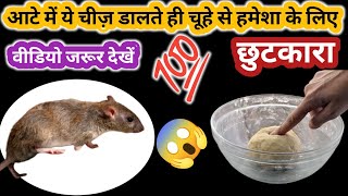 Quick rat killer  Rat killer  rat trap  rat poision  hommade rat killer  rat killer home made [upl. by Revert]