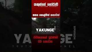 රචකයාගේ ඉරණම 05  sinhala holman katha සිංහල holman හොල්මන් horror horrorfan horrormovie [upl. by Peery940]